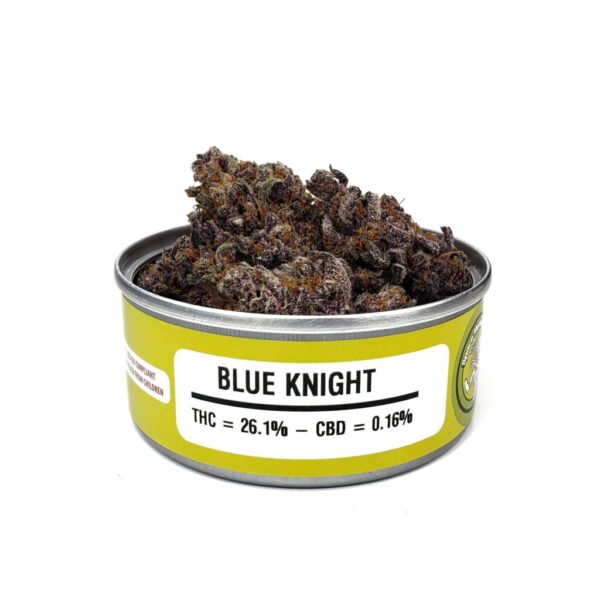 Blue Knight