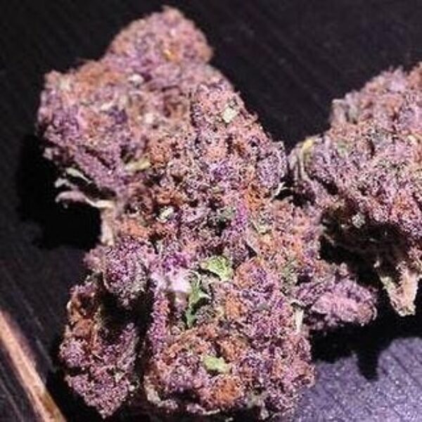 Purple Haze Strain