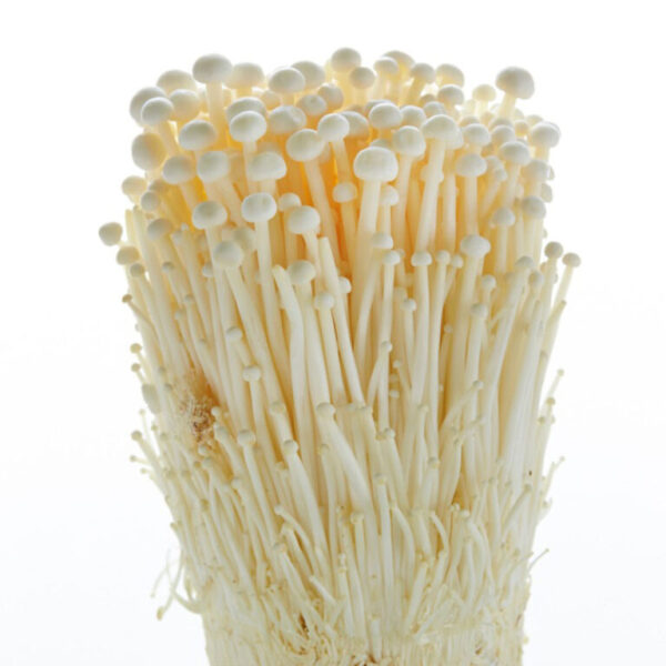 Buy Enoki Mushrooms Online