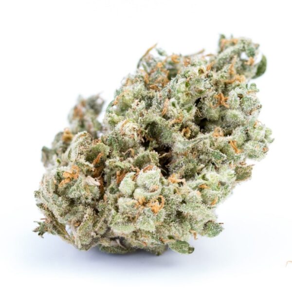 Jack Herer Strain