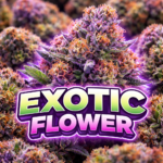 Exotic Flower