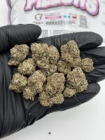 Pillows Designer Edition Premium Cannabis Flower 1LB Box by Snooze – Exotic Bulk Flower Assorted Strains